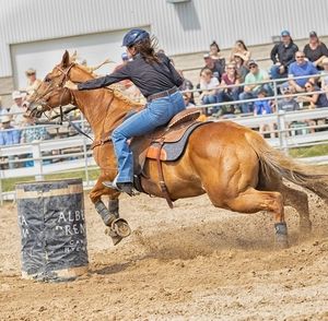 Meet your Posher, Rose